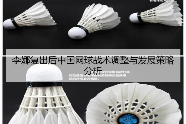 李娜复出后中国网球战术调整与发展策略分析