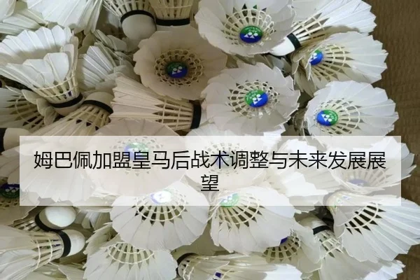 mu-ba-pei-jia-meng-huang-ma-hou-zhan-shu-tiao-zheng-yu-wei-lai-fa-zhan-zhan-wang-2-242.jpg