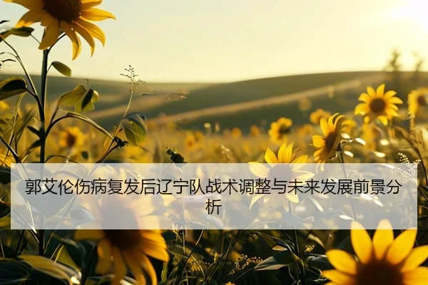 郭艾伦伤病复发后辽宁队战术调整与未来发展前景分析