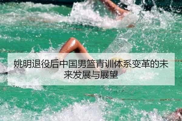 yao-ming-tui-yi-hou-zhong-guo-nan-lan-qing-xun-ti-xi-bian-ge-de-wei-lai-fa-zhan-yu-zhan-wang-2-411.jpg
