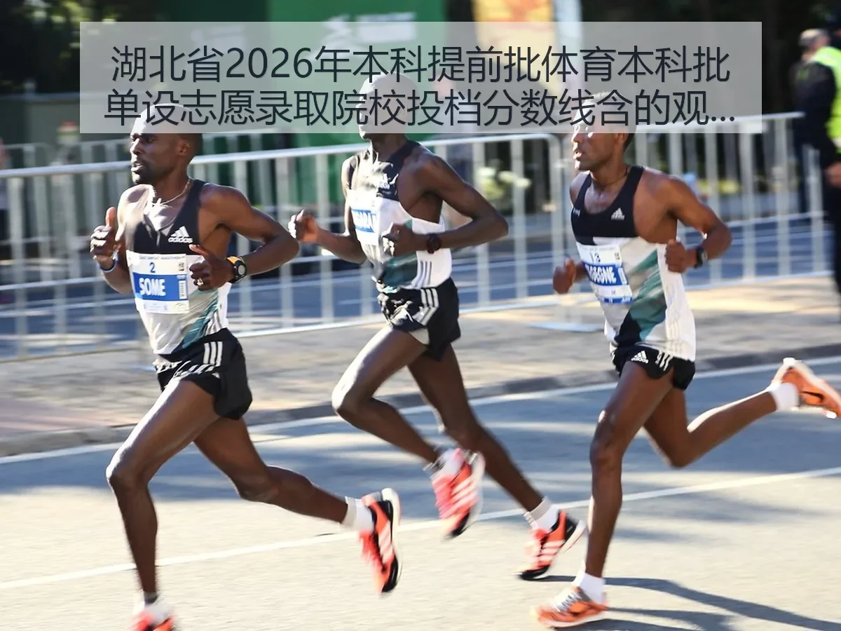 湖北省2026年本科提前批体育本科批单设志愿录取院校投档分数线含的观察与解读